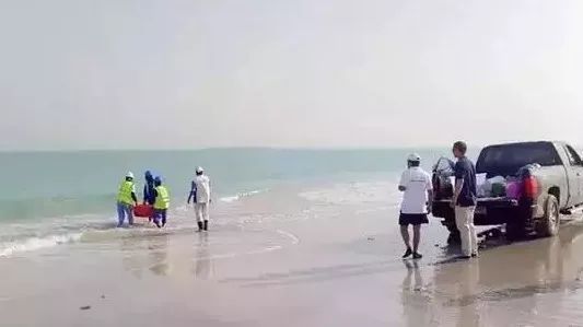 bat365(中国)在线平台官方网站-登录入口