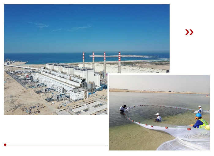 bat365(中国)在线平台官方网站-登录入口