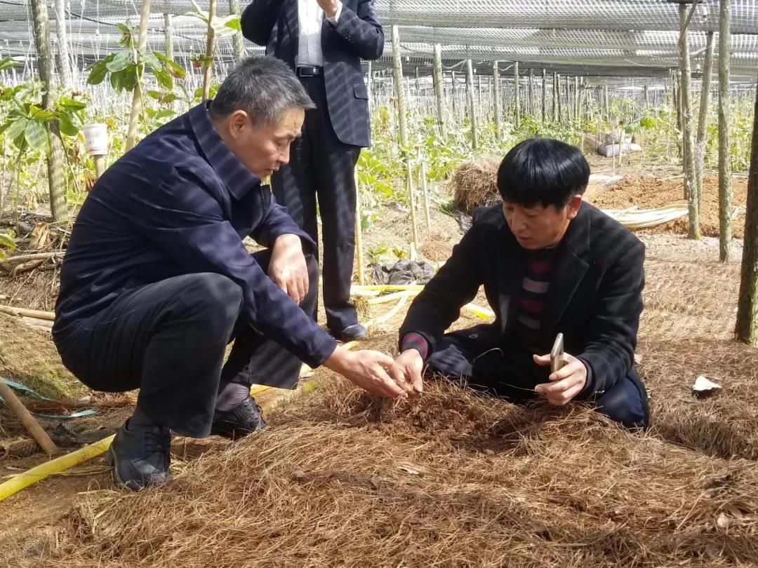 bat365(中国)在线平台官方网站-登录入口