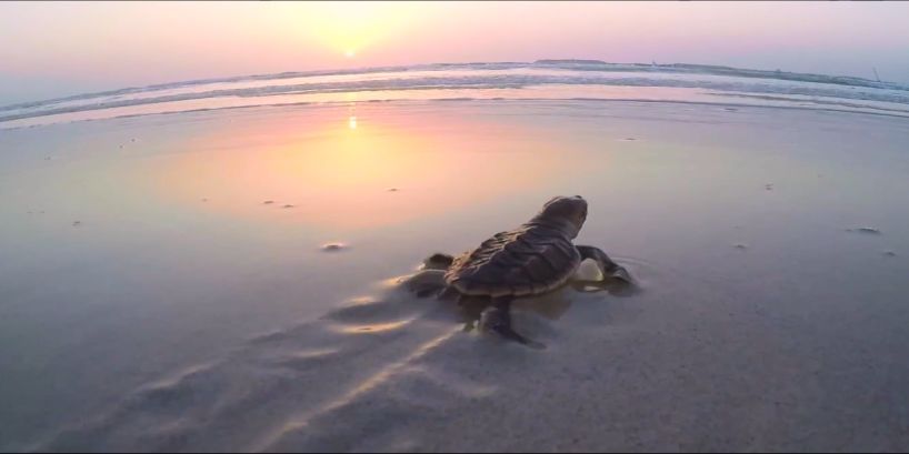 bat365(中国)在线平台官方网站-登录入口