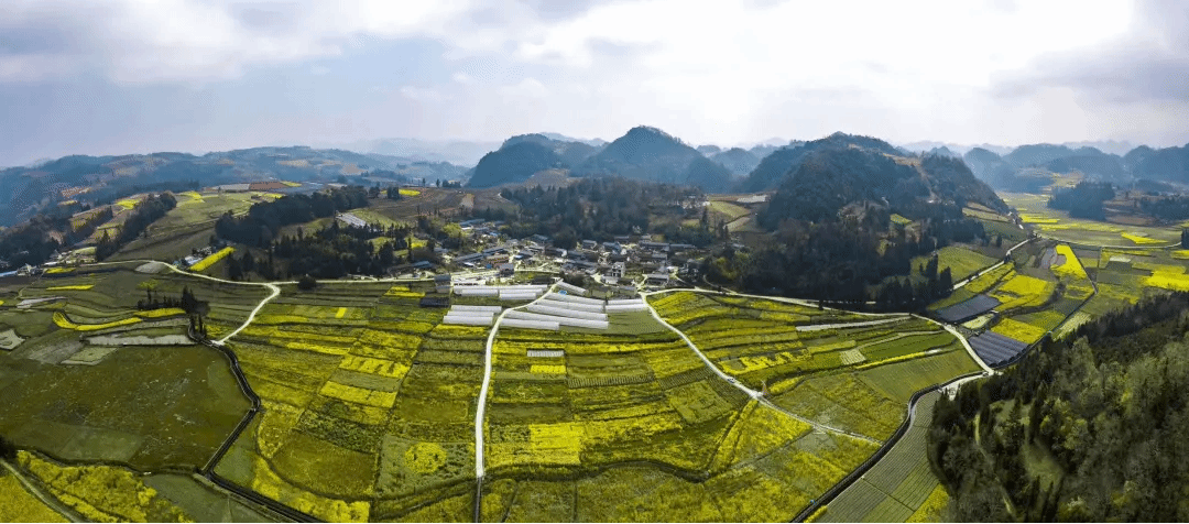 bat365(中国)在线平台官方网站-登录入口