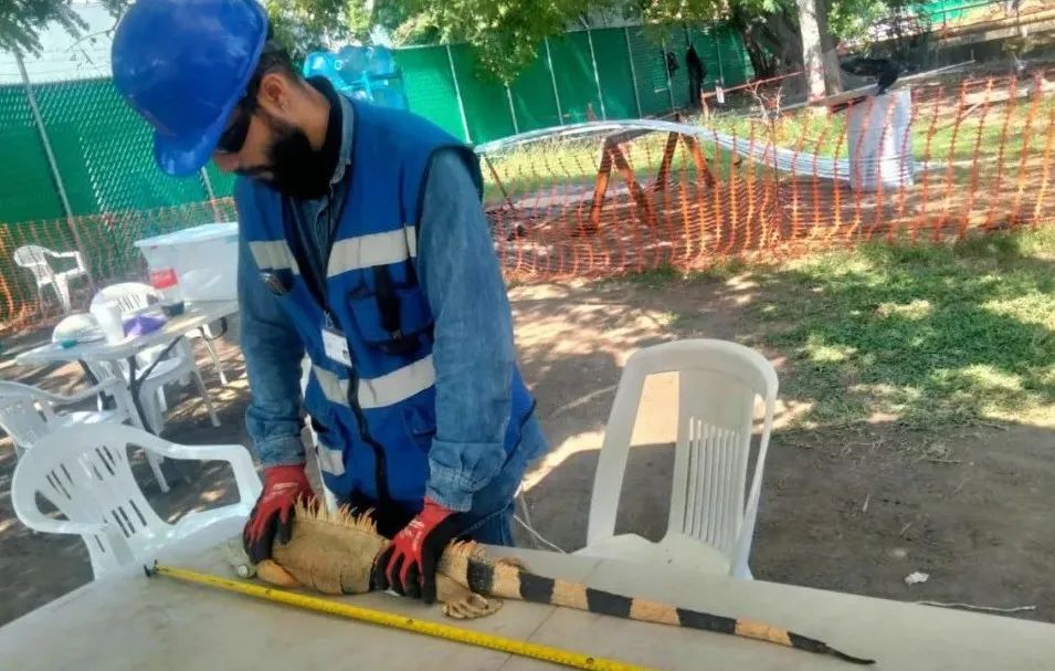 bat365(中国)在线平台官方网站-登录入口