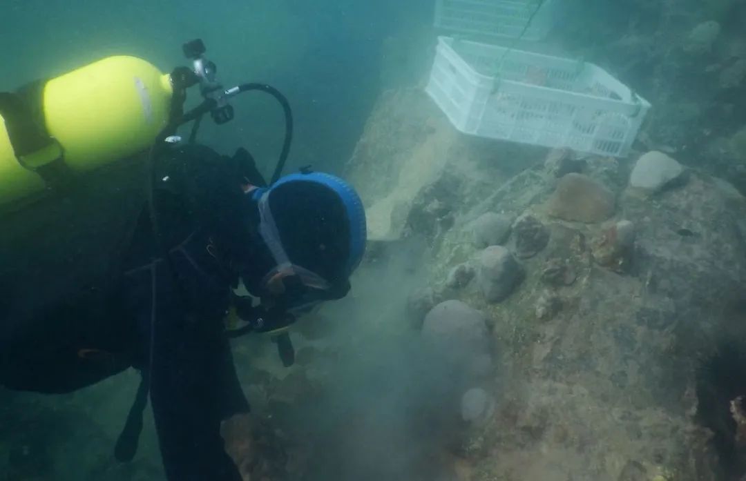 bat365(中国)在线平台官方网站-登录入口