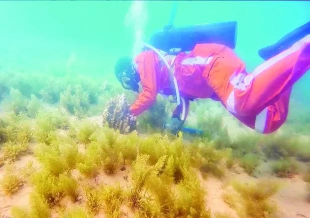 bat365(中国)在线平台官方网站-登录入口