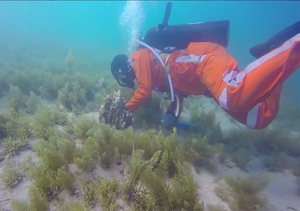 bat365(中国)在线平台官方网站-登录入口