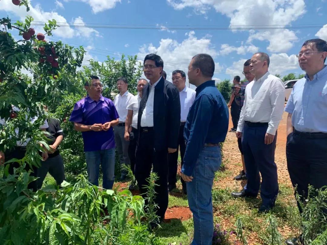 bat365(中国)在线平台官方网站-登录入口