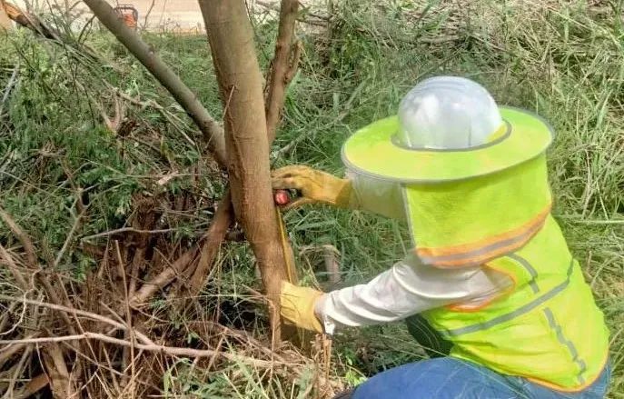 bat365(中国)在线平台官方网站-登录入口