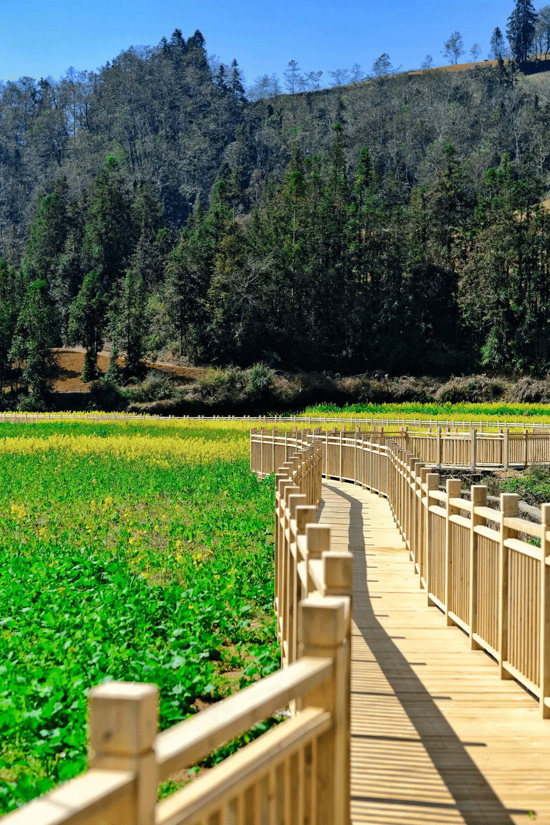 bat365(中国)在线平台官方网站-登录入口