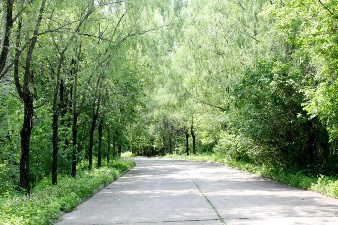 bat365(中国)在线平台官方网站-登录入口