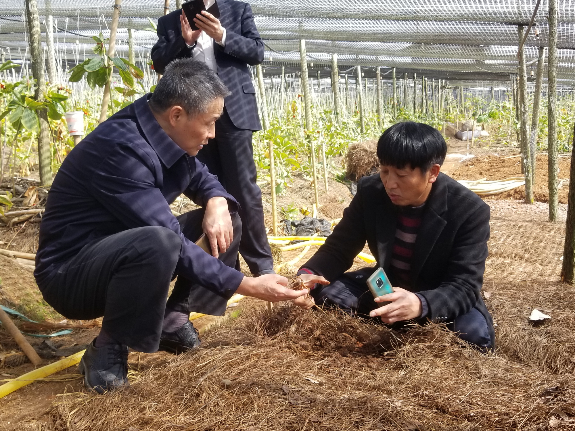 bat365(中国)在线平台官方网站-登录入口