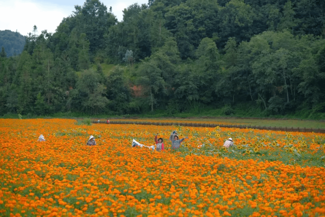 bat365(中国)在线平台官方网站-登录入口