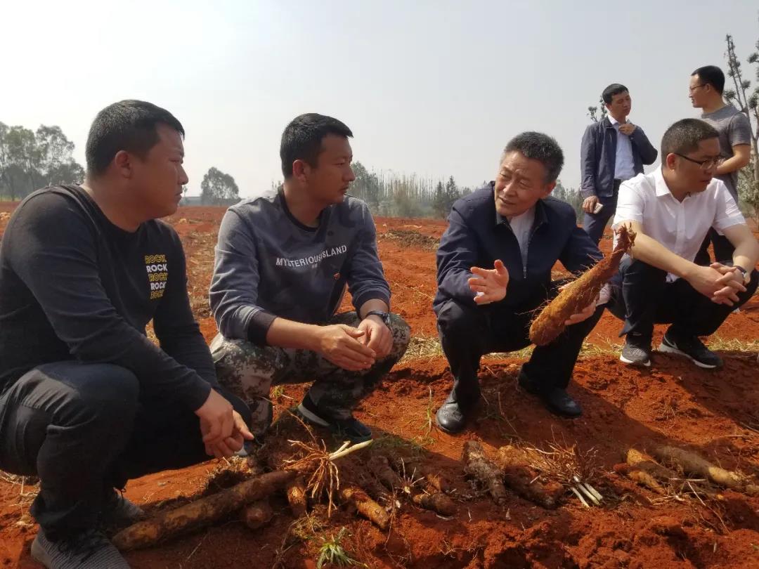 bat365(中国)在线平台官方网站-登录入口