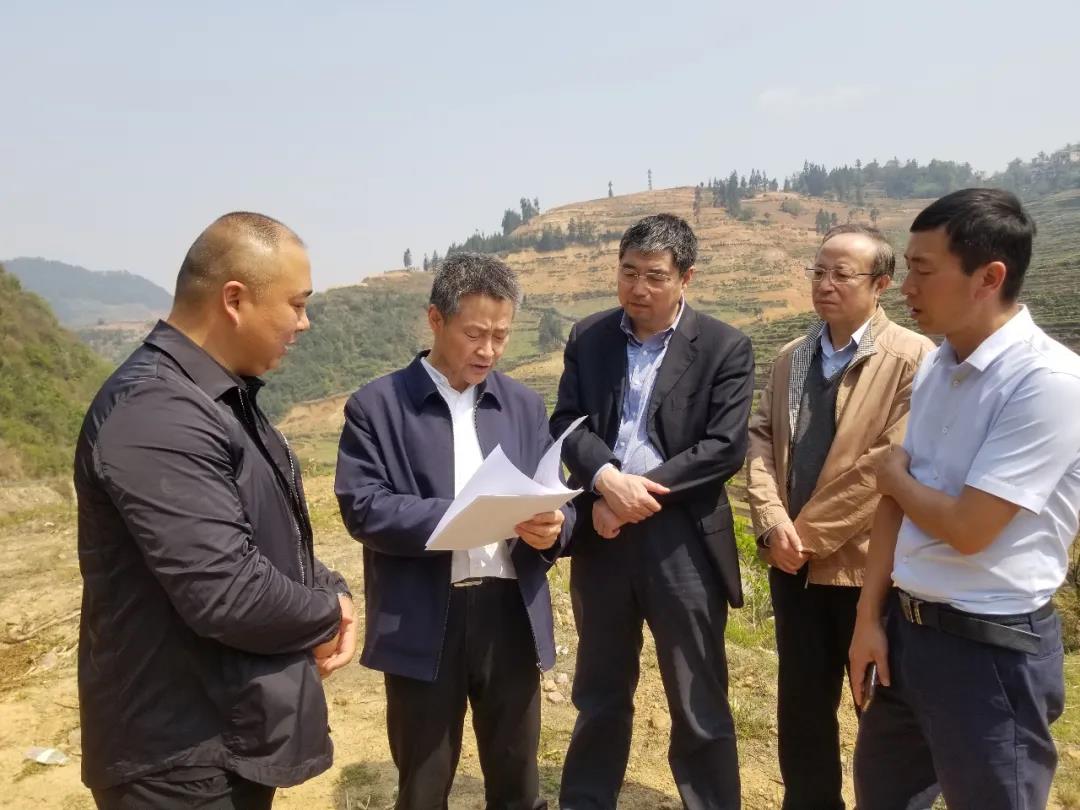 bat365(中国)在线平台官方网站-登录入口