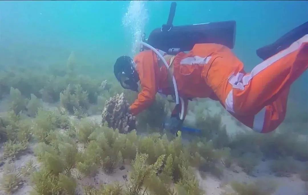 bat365(中国)在线平台官方网站-登录入口